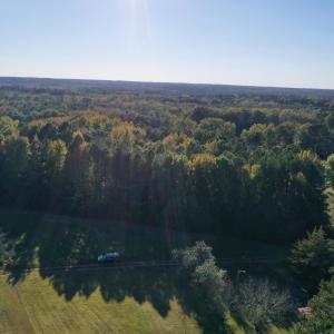 Photo #7 of 8526 Highway 158, Littleton, NC 2.5 acres