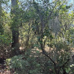 Photo #24 of 87 Bailey Pointe, Belhaven, NC 1.4 acres
