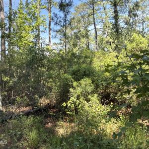 Photo #22 of 87 Bailey Pointe, Belhaven, NC 1.4 acres