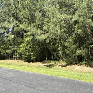 Photo #4 of 87 Bailey Pointe, Belhaven, NC 1.4 acres