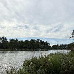 Photo #7 of 87 Bailey Pointe, Belhaven, NC 1.4 acres