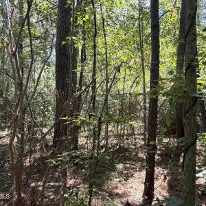 Photo #21 of 87 Bailey Pointe, Belhaven, NC 1.4 acres