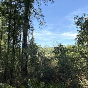 Photo #23 of 87 Bailey Pointe, Belhaven, NC 1.4 acres