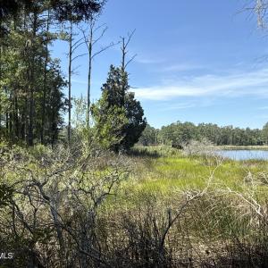 Photo #11 of 87 Bailey Pointe, Belhaven, NC 1.4 acres