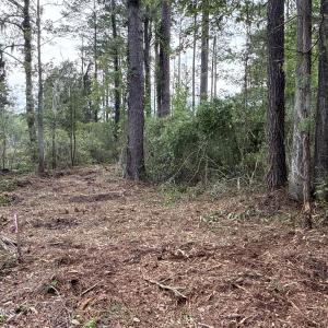 Photo #12 of 87 Bailey Pointe, Belhaven, NC 1.4 acres