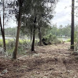 Photo #9 of 87 Bailey Pointe, Belhaven, NC 1.4 acres