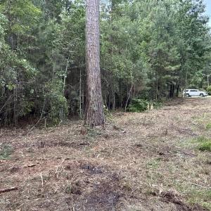 Photo #14 of 87 Bailey Pointe, Belhaven, NC 1.4 acres