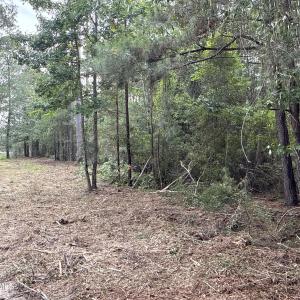 Photo #13 of 87 Bailey Pointe, Belhaven, NC 1.4 acres