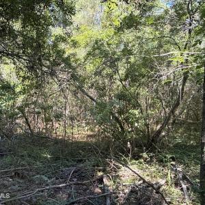 Photo #17 of 87 Bailey Pointe, Belhaven, NC 1.4 acres