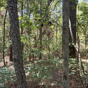 Photo #20 of 87 Bailey Pointe, Belhaven, NC 1.4 acres