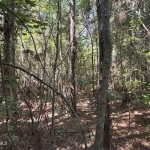 Photo #19 of 87 Bailey Pointe, Belhaven, NC 1.4 acres