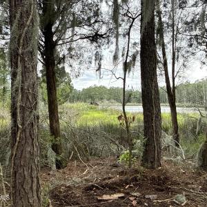 Photo #8 of 87 Bailey Pointe, Belhaven, NC 1.4 acres