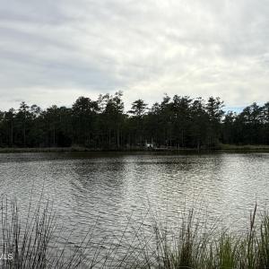 Photo #6 of 87 Bailey Pointe, Belhaven, NC 1.4 acres