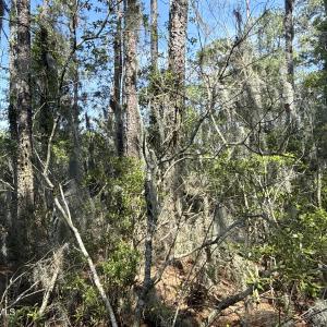 Photo #25 of 87 Bailey Pointe, Belhaven, NC 1.4 acres
