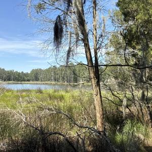 Photo #10 of 87 Bailey Pointe, Belhaven, NC 1.4 acres