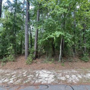 Photo #5 of 307 Thimbleberry, Vass, NC 0.7 acres