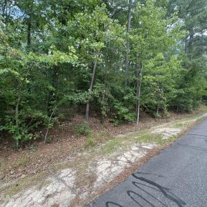 Photo #2 of 307 Thimbleberry, Vass, NC 0.7 acres