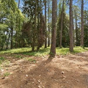 Photo #3 of 55 Apawamis, Pinehurst, NC 1.4 acres