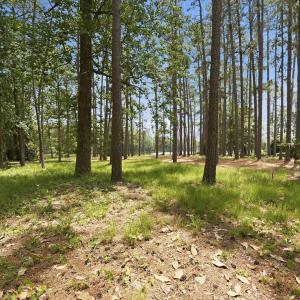 Photo #11 of 55 Apawamis, Pinehurst, NC 1.4 acres