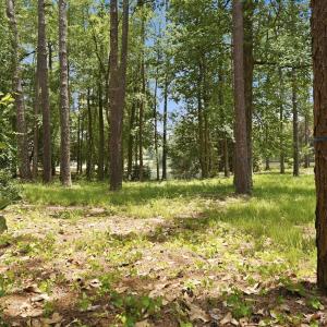 Photo #10 of 55 Apawamis, Pinehurst, NC 1.4 acres