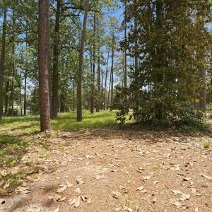 Photo #9 of 55 Apawamis, Pinehurst, NC 1.4 acres