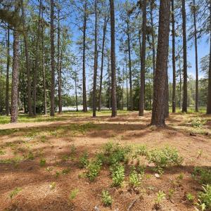 Photo #12 of 55 Apawamis, Pinehurst, NC 1.4 acres