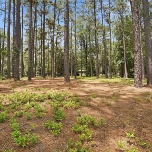 Photo #13 of 55 Apawamis, Pinehurst, NC 1.4 acres