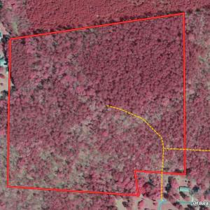 Photo #4 of Tbd Donna, Laurinburg, NC 44.2 acres
