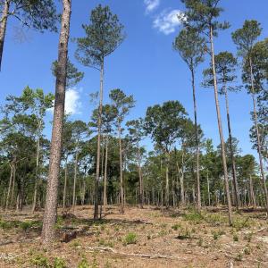 Photo #17 of Tbd Donna, Laurinburg, NC 44.2 acres