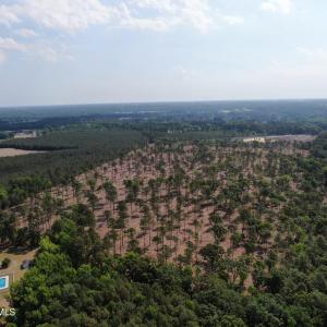 Photo #9 of Tbd Donna, Laurinburg, NC 44.2 acres