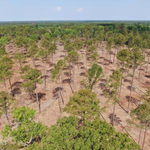 Photo #7 of Tbd Donna, Laurinburg, NC 44.2 acres