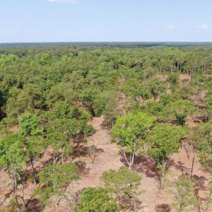 Photo #10 of Tbd Donna, Laurinburg, NC 44.2 acres