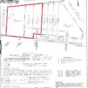 Photo #6 of Tbd Donna, Laurinburg, NC 44.2 acres