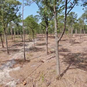 Photo #13 of Tbd Donna, Laurinburg, NC 44.2 acres