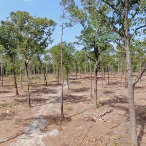 Photo #14 of Tbd Donna, Laurinburg, NC 44.2 acres