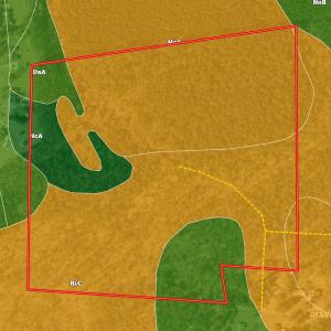 Photo #5 of Tbd Donna, Laurinburg, NC 44.2 acres