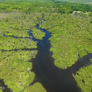 Photo #4 of Us 17, Chocowinity, NC 121.2 acres