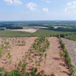 Photo #2 of Tbd Donna, Laurinburg, NC 7.4 acres