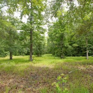 Photo #3 of 529 Wild Rice, Supply, NC 0.6 acres