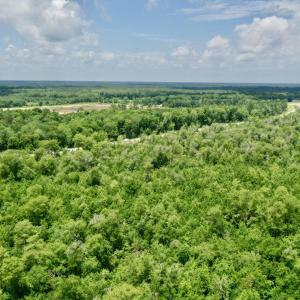 Photo #6 of Near 10769 Old 74, Evergreen, NC 113.0 acres