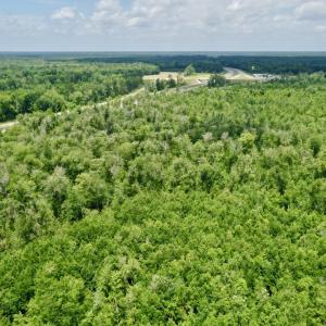 Photo #11 of Near 10769 Old 74, Evergreen, NC 113.0 acres
