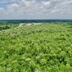 Photo #10 of Near 10769 Old 74, Evergreen, NC 113.0 acres