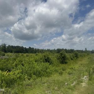 Photo #14 of Near 10769 Old 74, Evergreen, NC 113.0 acres