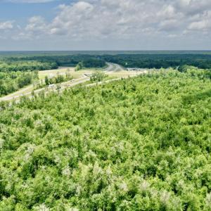 Photo #12 of Near 10769 Old 74, Evergreen, NC 113.0 acres