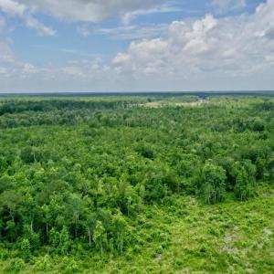 Photo #3 of Near 10769 Old 74, Evergreen, NC 113.0 acres