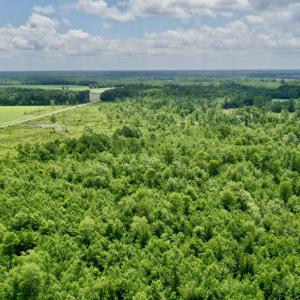 Photo #13 of Near 10769 Old 74, Evergreen, NC 113.0 acres