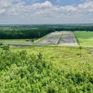 Photo #9 of Near 10769 Old 74, Evergreen, NC 113.0 acres