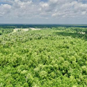 Photo #8 of Near 10769 Old 74, Evergreen, NC 113.0 acres