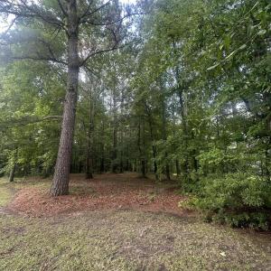 Photo #3 of 3808 Leaf, New Bern, NC 1.8 acres