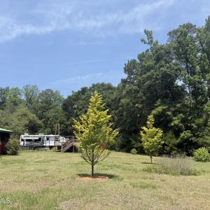 Camper